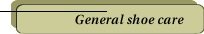 General shoe care