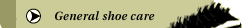 General shoe care