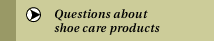 Questions about shoe care products